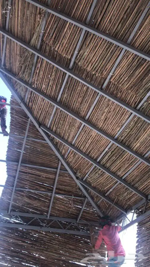 جريد سعف للمظلات 4