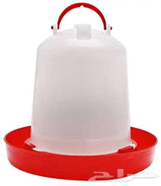 طيور دره كرواون بادجي روز زيبرا محل نوادر لبيع الطيور 18