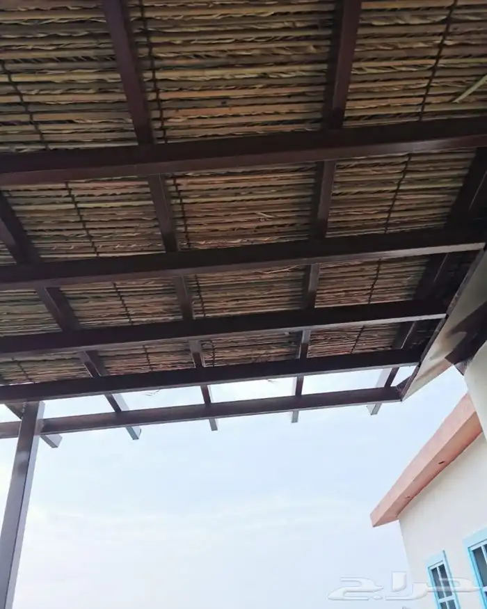 جريد سعف للمظلات 3