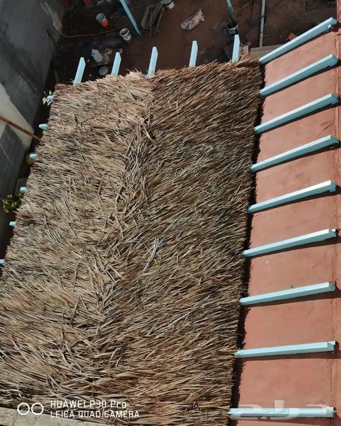 جريد سعف للمظلات 7