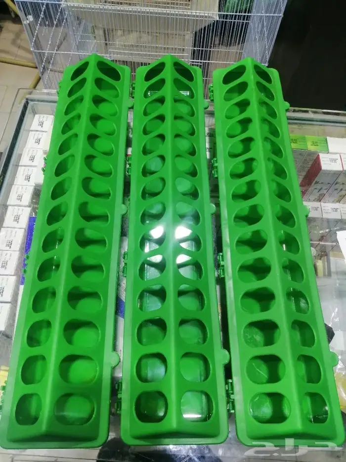 طيور دره كرواون بادجي روز زيبرا محل نوادر لبيع الطيور 4