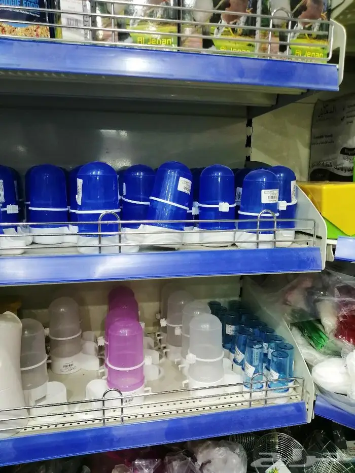 طيور دره كرواون بادجي روز زيبرا محل نوادر لبيع الطيور 31