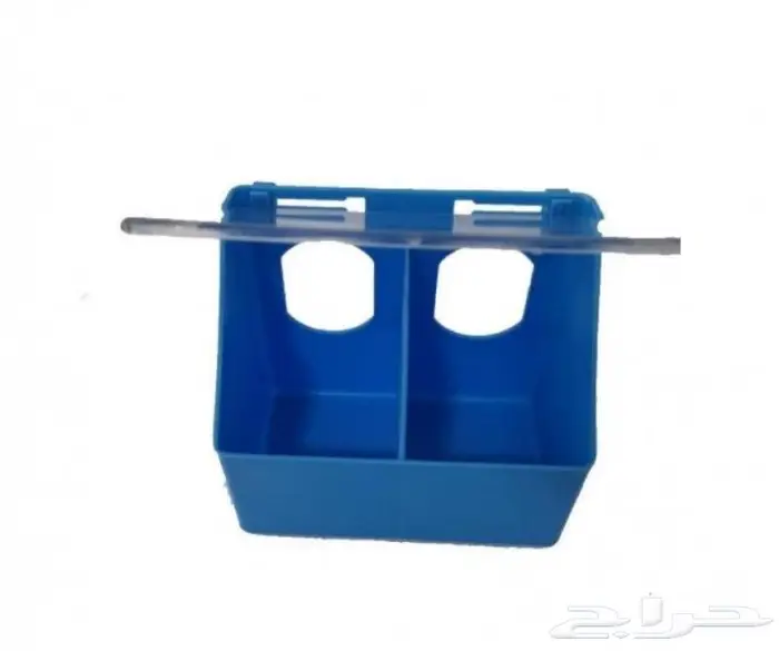 طيور دره كرواون بادجي روز زيبرا محل نوادر لبيع الطيور 21