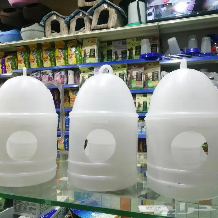 جديد طيور زينة ومستلزماتها نوادر 11