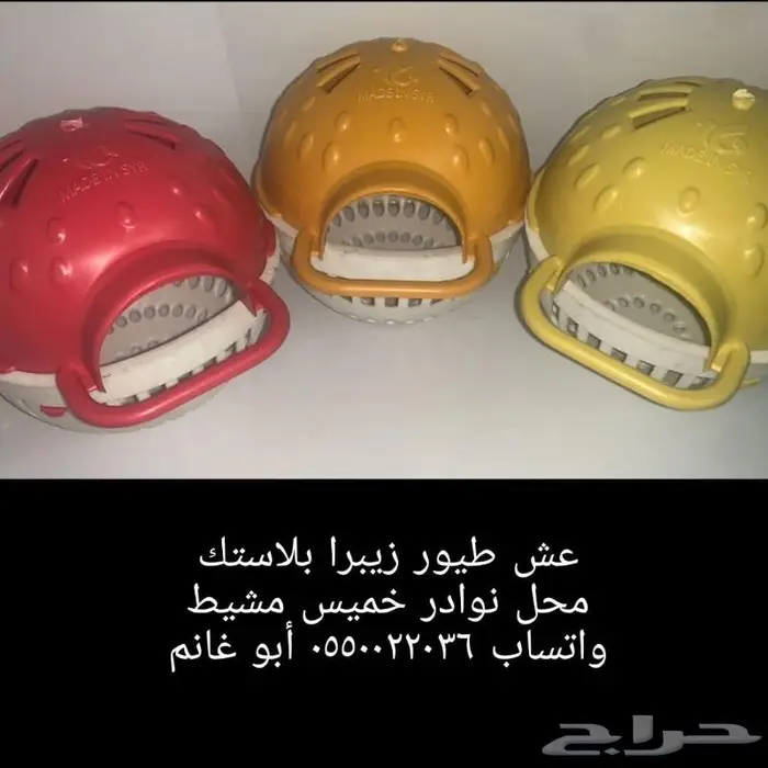 جديد طيور زينة ومستلزماتها نوادر 39