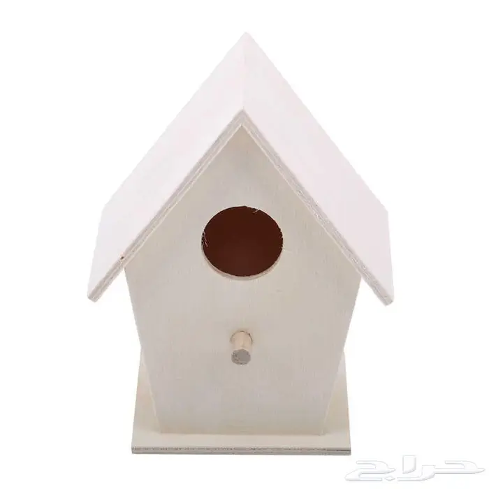 طيور دره كرواون بادجي روز زيبرا محل نوادر لبيع الطيور 33