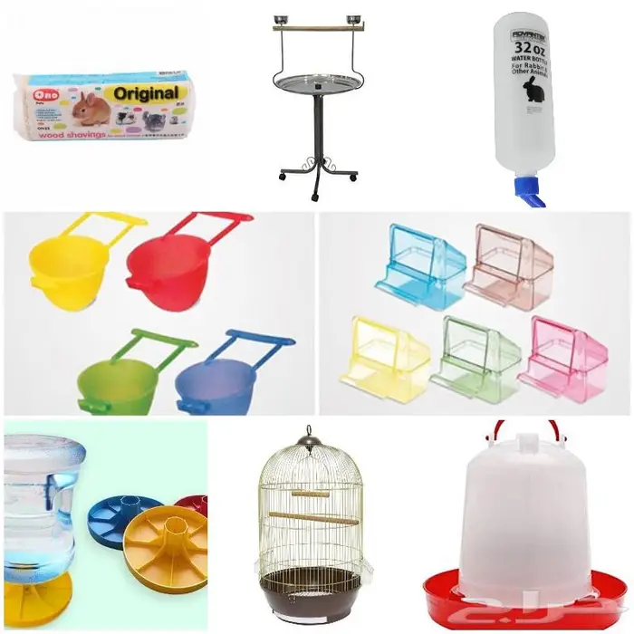 طيور دره كرواون بادجي روز زيبرا محل نوادر لبيع الطيور 51