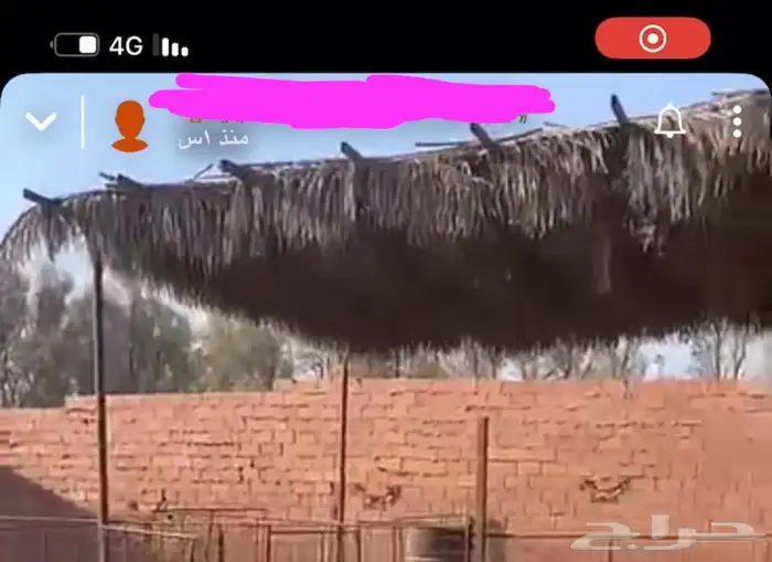 جريد سعف للمظلات 0