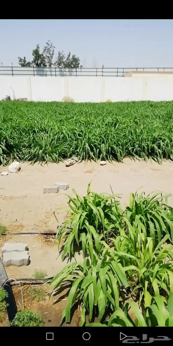 مهندس غطاسات وعمل شبكات ري تركيب وصيانه 6
