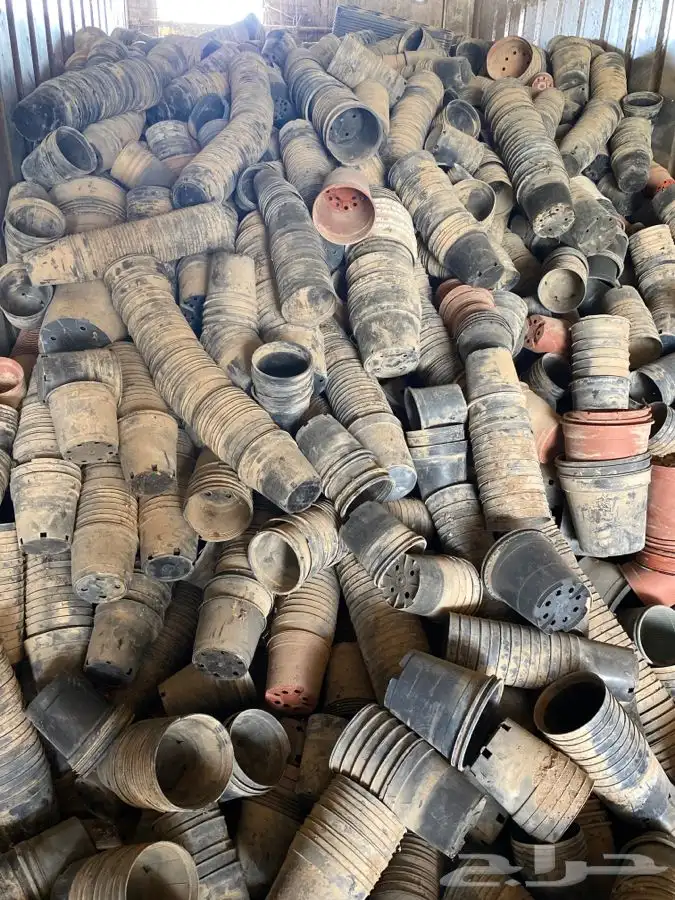 ادوات زراعيه واشجار باسعار طيبه 8