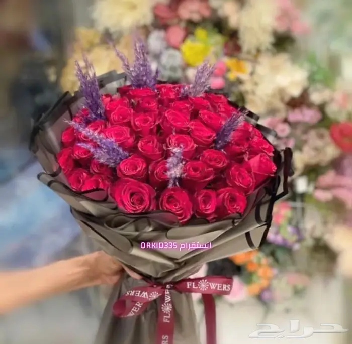 نورفاد عيد ميلاد ذكرى زواج غرف عرسان بالونات هدايا 6
