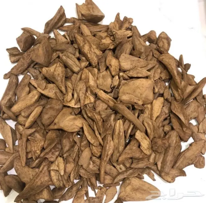 عود موروكي سوبر غابات آصقون بسعر الجملة 0