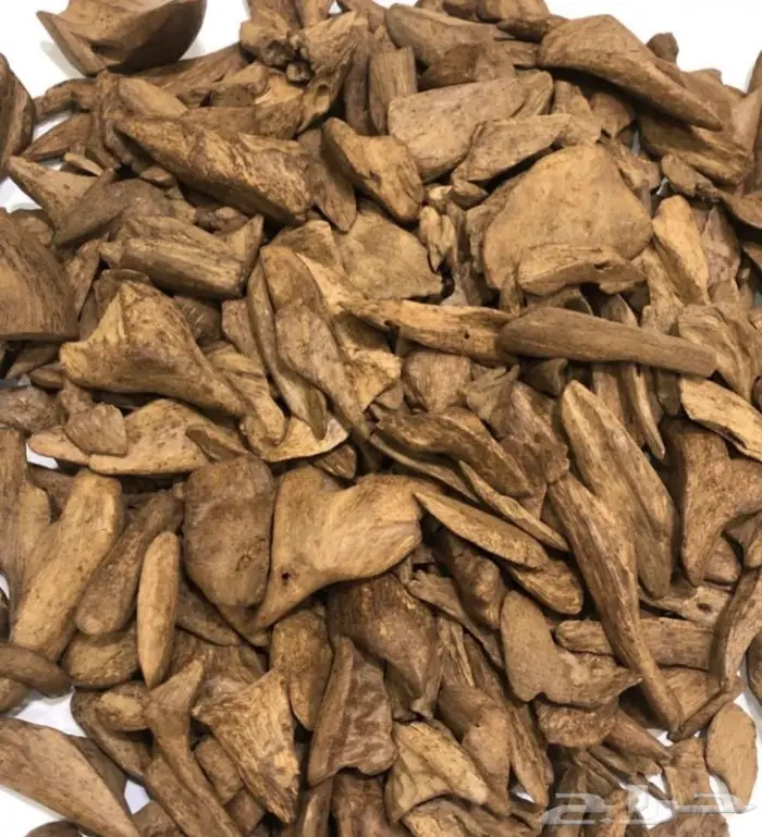 عود موروكي سوبر غابات آصقون بسعر الجملة 2