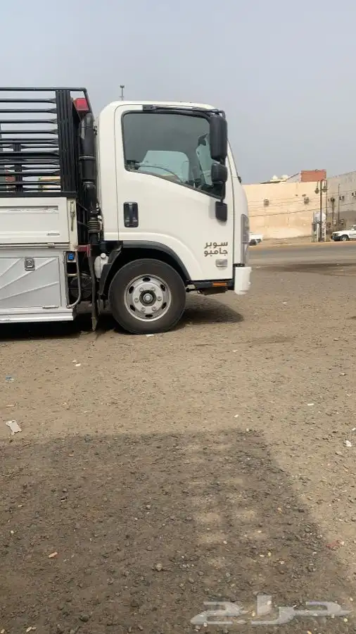 دينا جده 0