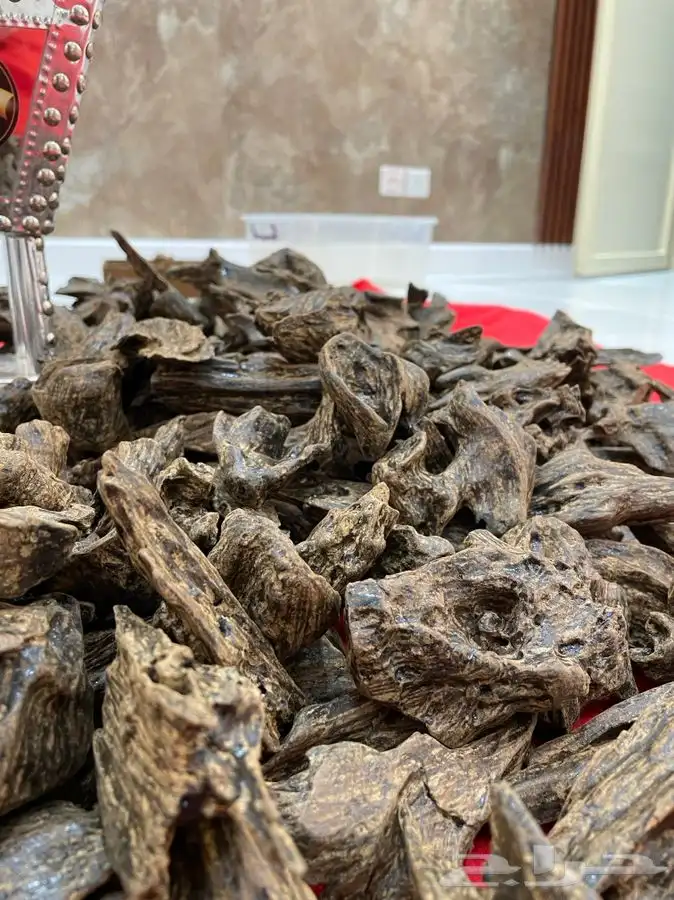 عود طبيعي فيتنامي محسن بيور فخم جدا 5