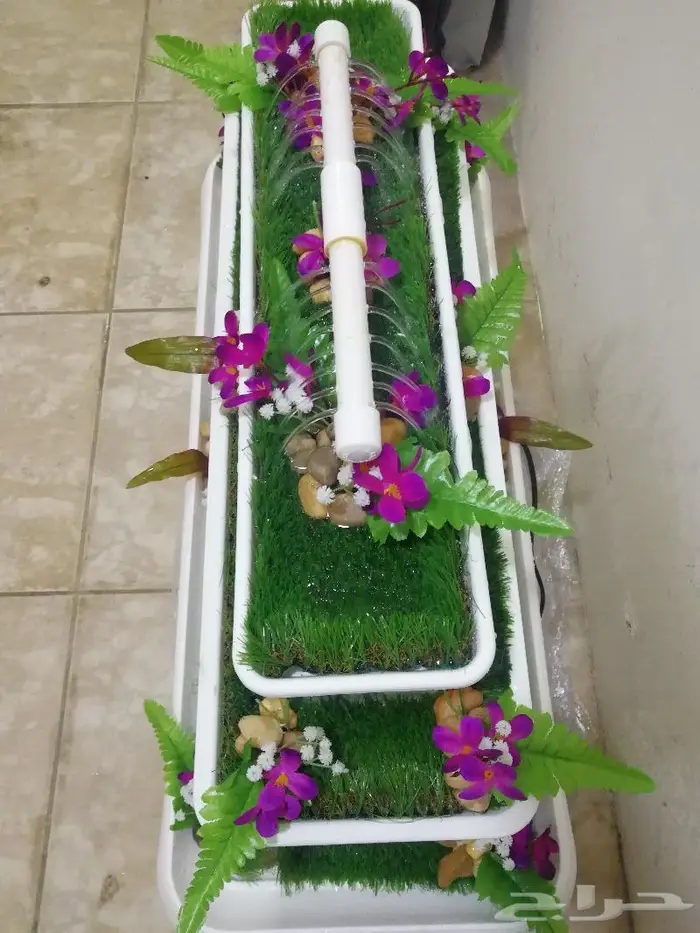 شلال الجبل 12