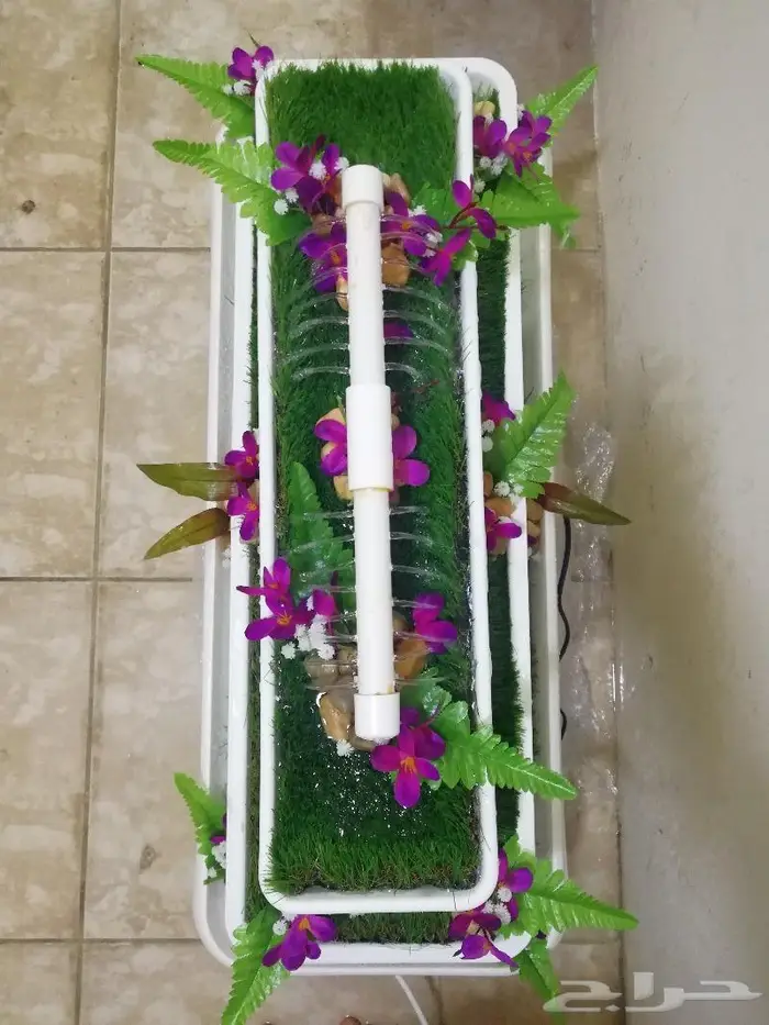 شلال الجبل 13