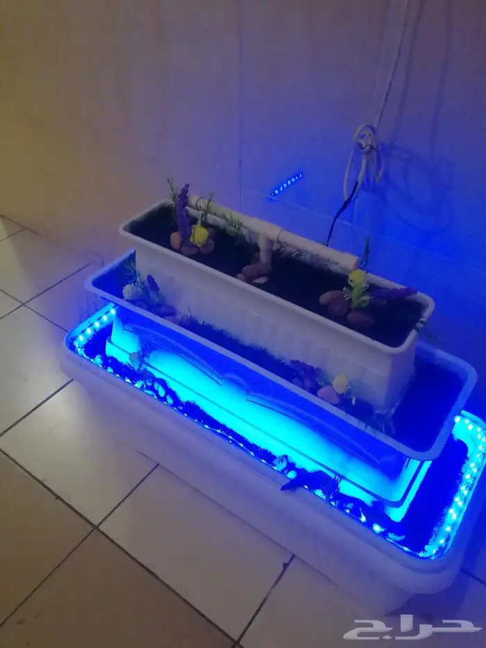 شلال الجبل 10