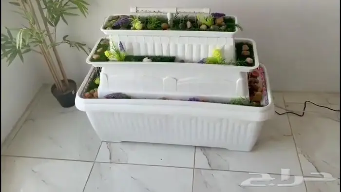 شلال الجبل 1