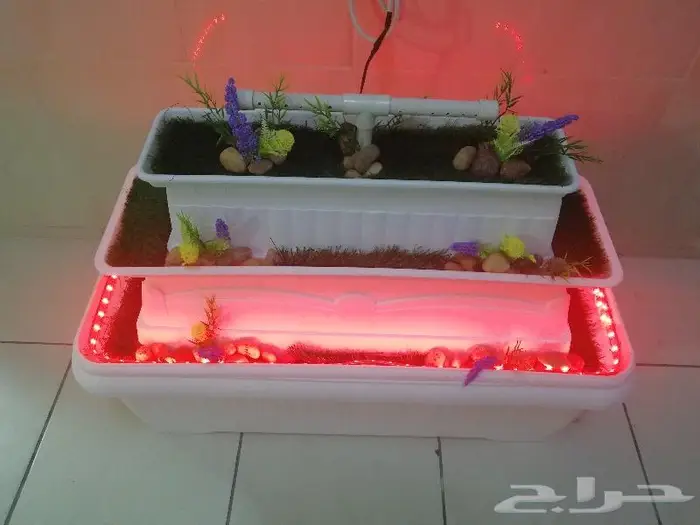 شلال الجبل 11