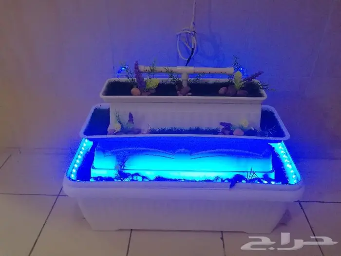 شلال الجبل 9