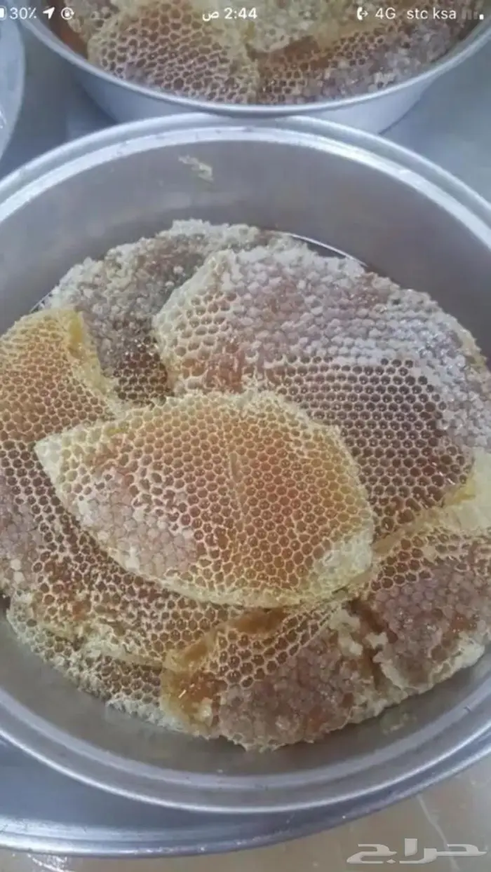 عسل سدر وسمره على الشرط من مناحل الوالد 3