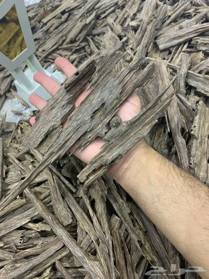 عود هندي زورا قديم غابات آسام .. عرض. 3