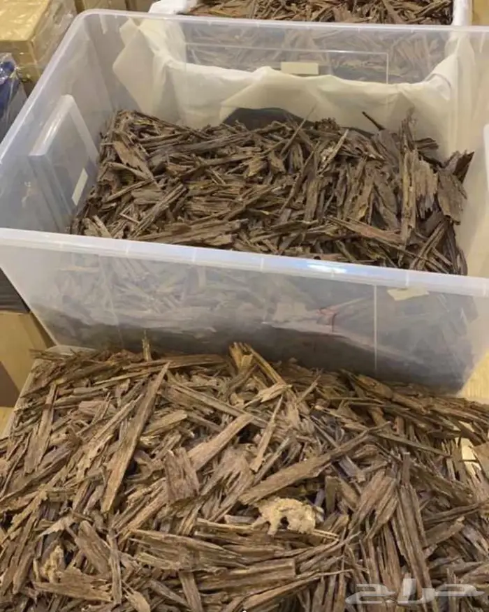 عود هندي زورا قديم غابات آسام .. عرض. 4