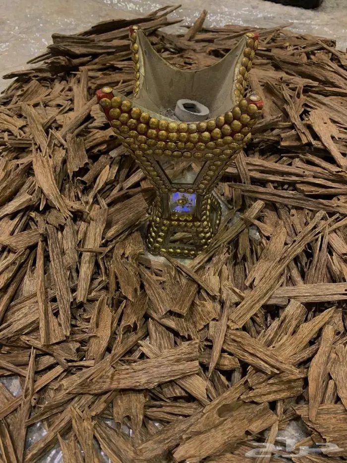 عود هندي زورا قديم غابات آسام .. عرض. 1