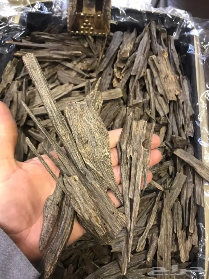 عود هندي زورا قديم غابات آسام .. عرض. 2