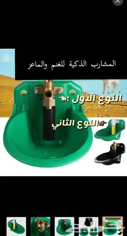 مشارب ذكية للغنم والماعز 0