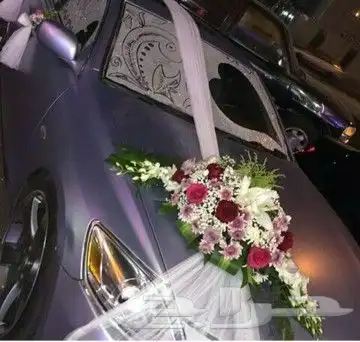 تشريع سيارات العرسان 4