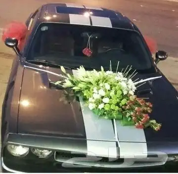 تشريع سيارات العرسان 12