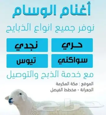 ذبايح حري نجدي سواكني 1
