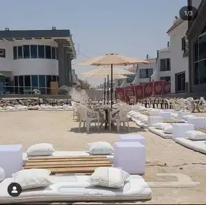 رقم (3 ) كراسي من خشب الطبليات كلاسيك جديد 1