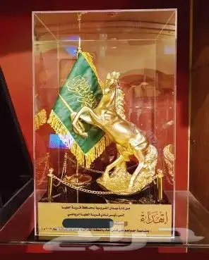 مجسمات ودروع 18