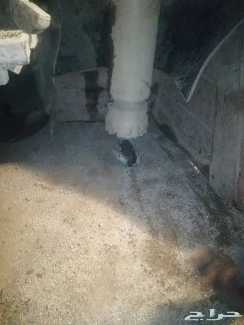 كشف مياه آبارارتوازيه باحة مخواة تهامة ناوان  3