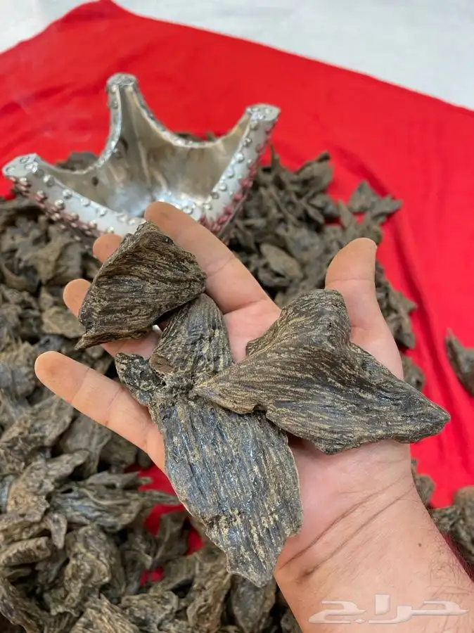 عود كلمنتان مالينو ريسين فيتنامي بيور فاخر 4