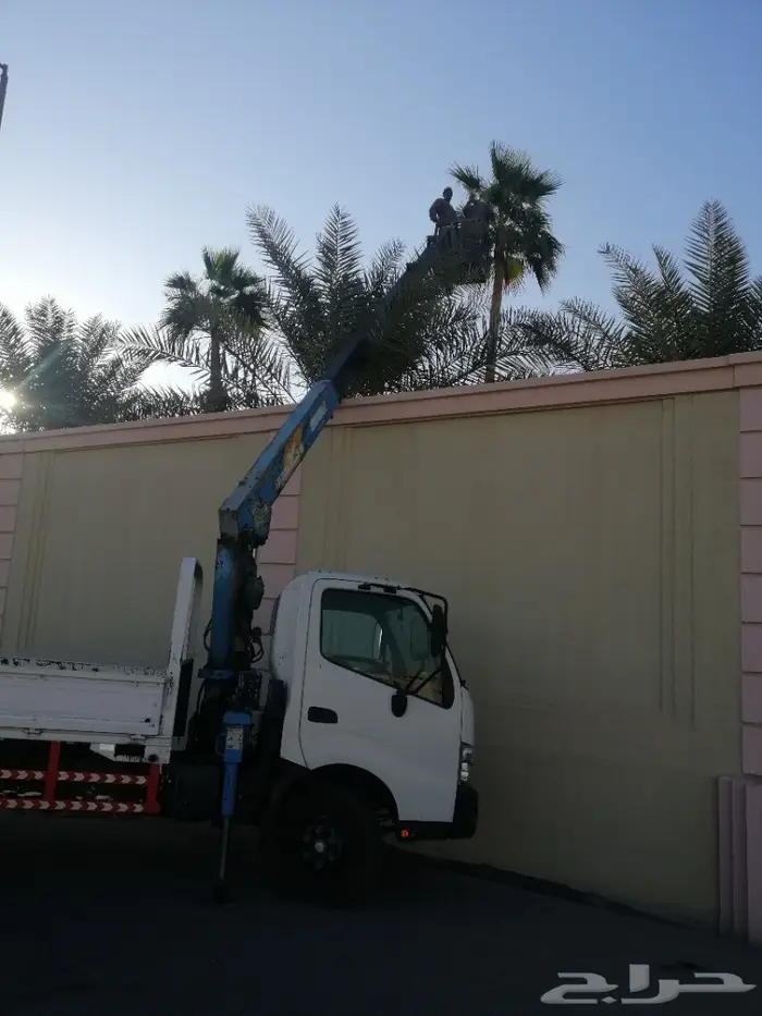 دينة كرين ونش رافعة سلة عمال الأحساء  5