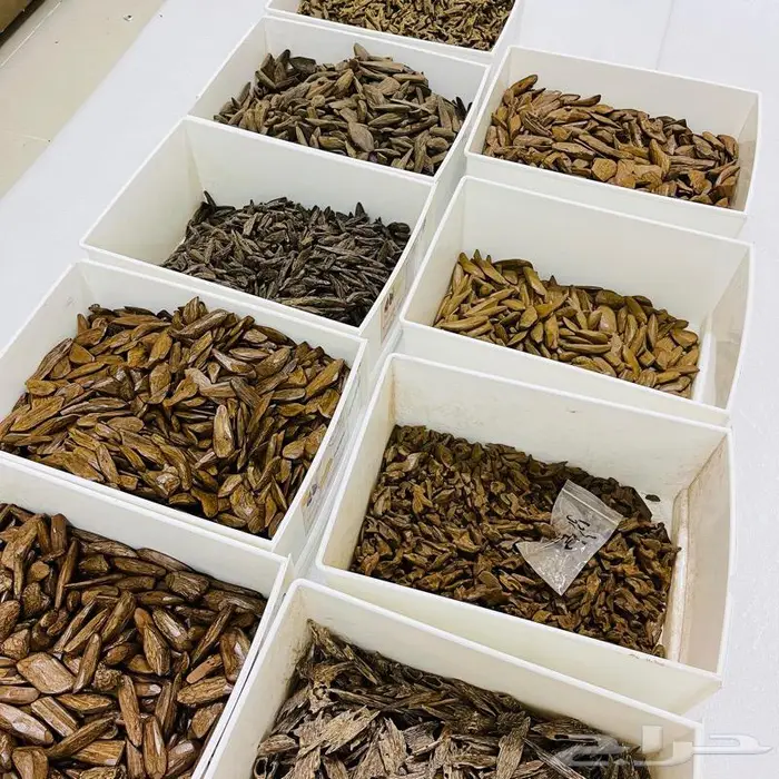 عود بخور مروكي وكلمنتان ربع الكيلو 350 ريال 6