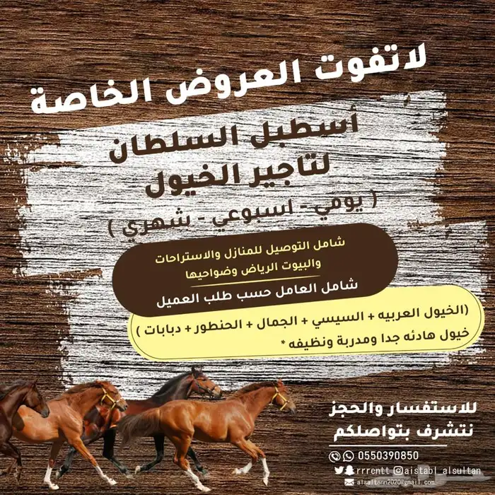 حنطور مع الحصان للإيجار  0
