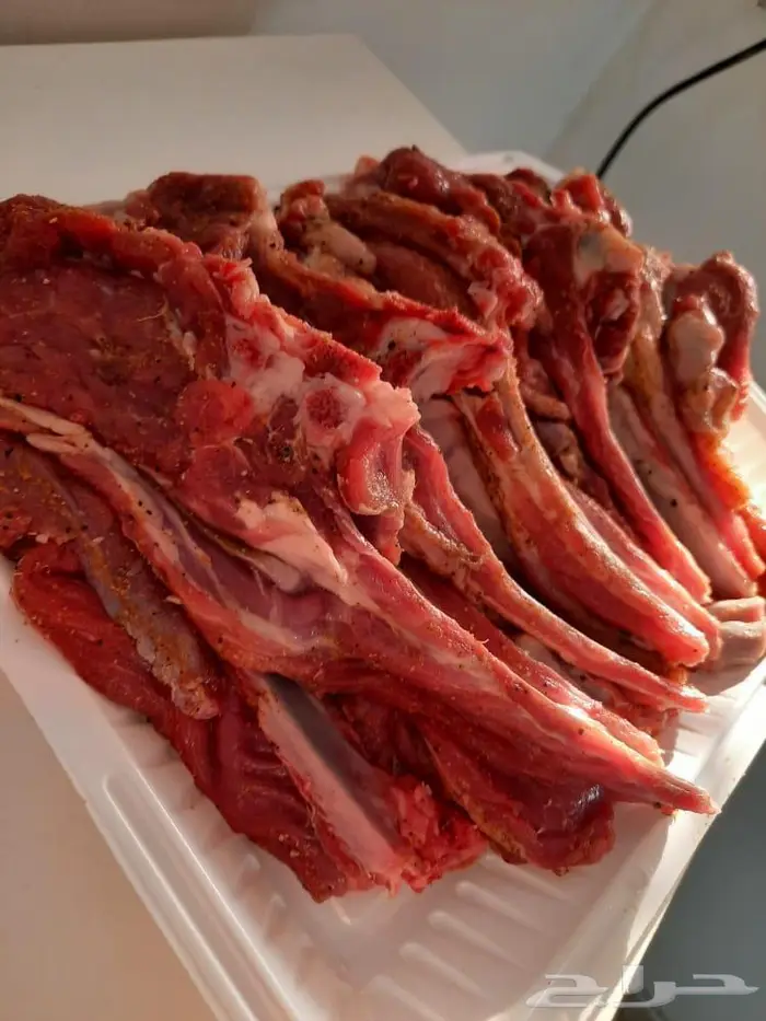 تجهيز مشويات وحفلات شواء 6