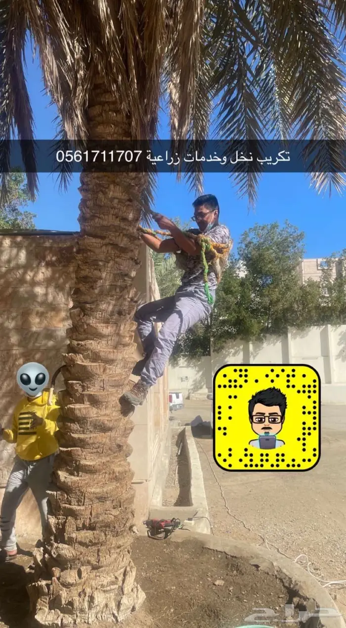 تصميم حدائق وأنظمة ضباب للكافيهات والجلسات 44