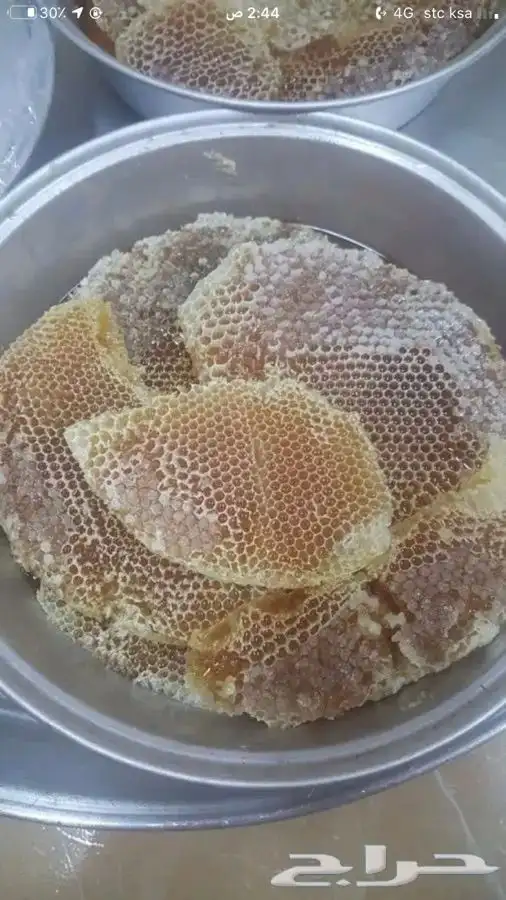 عسل مشروط ومضمون يشهد الله 16