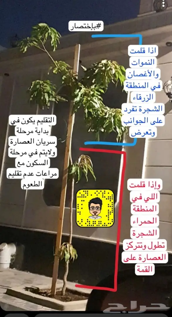 تصميم حدائق وأنظمة ضباب للكافيهات والجلسات 65