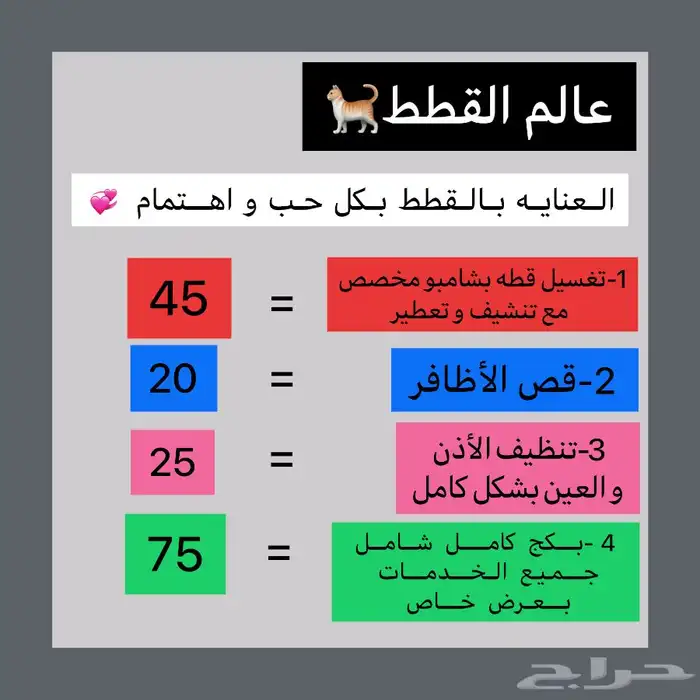 فندقه قطط و عنياه كامله بالقطه 1
