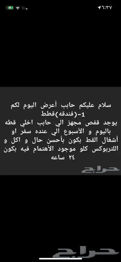فندقه قطط و ترويش و عنايه بالقطط 0