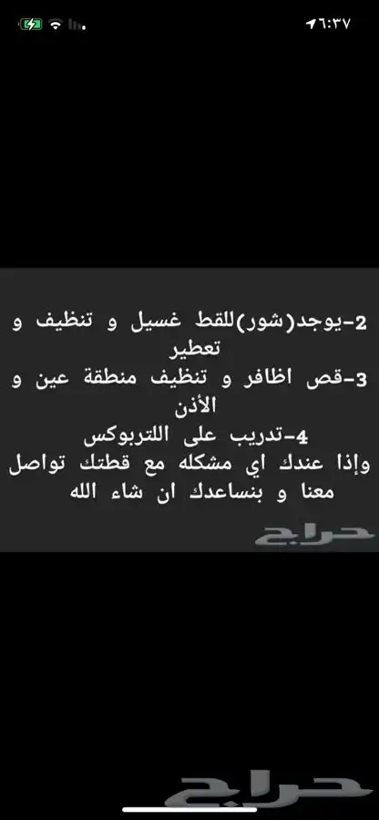 فندقه قطط و ترويش و عنايه بالقطط 1