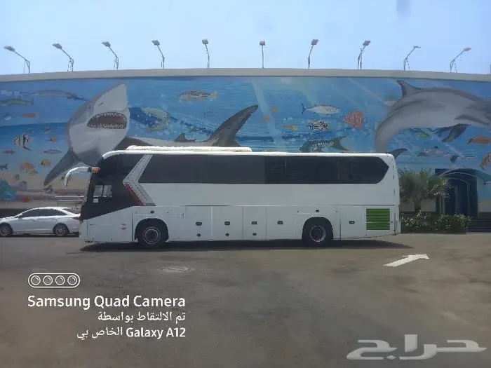 حافلات وباصات للايجار 0552963288 1