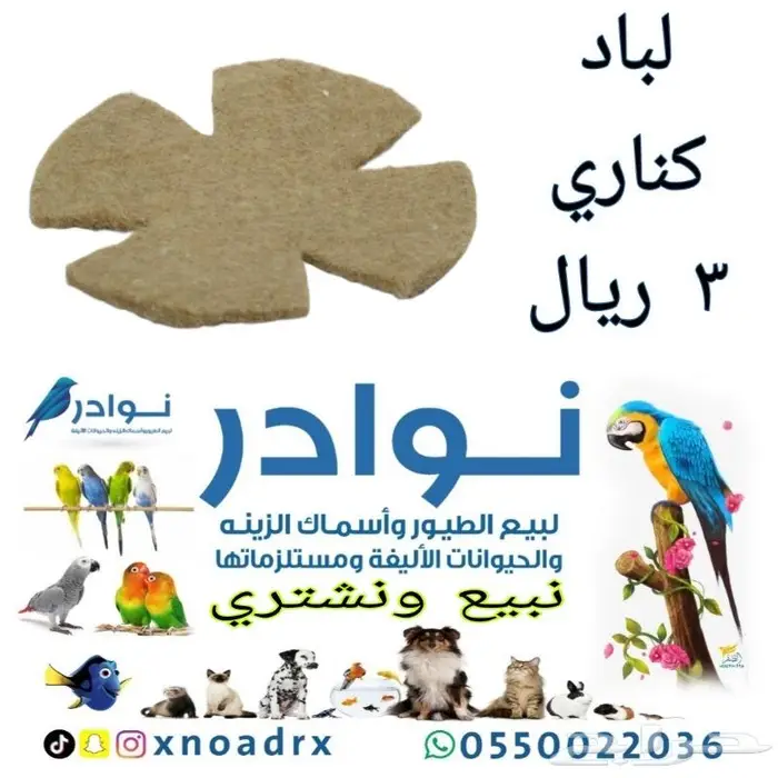 اكل قطط وفيتامينات ورمل والعاب قطط 15